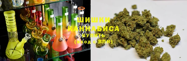 гашик Богородск