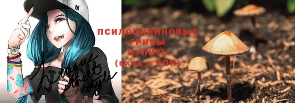 сатива Богданович