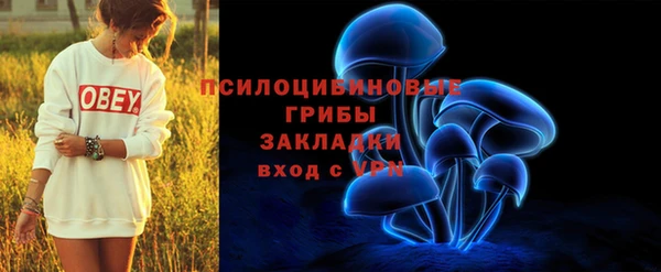 скорость Богородицк