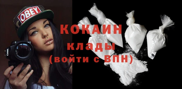 сатива Богданович