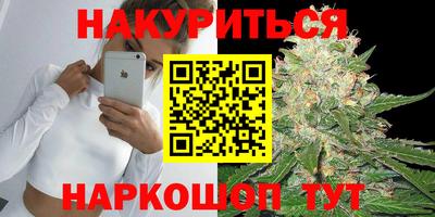 гашик Жуковский