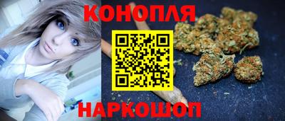 гашик Жуковский