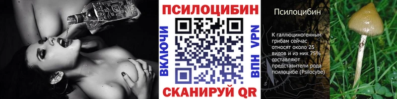 МЕГА зеркало  shop официальный сайт  Псилоцибиновые грибы мицелий  Надым 