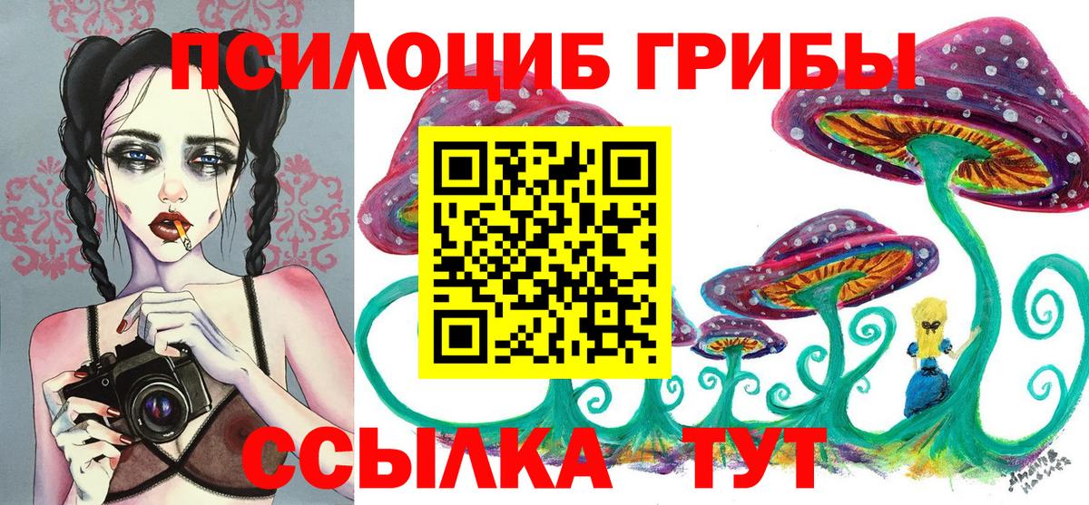 Галлюциногенные грибы Psilocybe  Вход с VPN  даркнет сайт  Надым 
