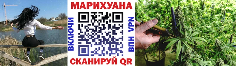 Бошки Шишки планчик Надым